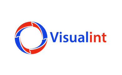 Visual Intelligent Surveillance